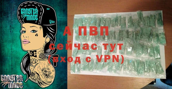 стаф Козловка