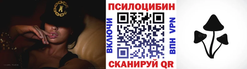 Псилоцибиновые грибы мухоморы  Купить закладки  Багратионовск 